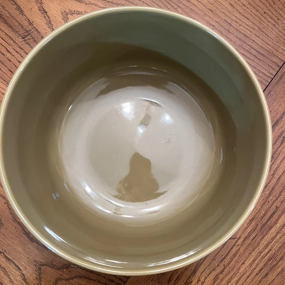 Pier 1 Imports Carrot Embossed Large Green Serving Bowl‎